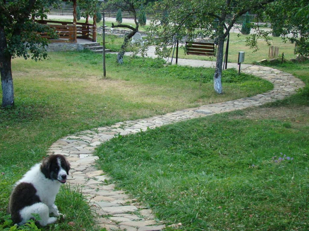 Pensiunea Agroturistica Cristal Сучевица Экстерьер фото